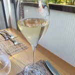 プリミ・バチ - 