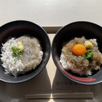 田子の浦港 漁協食堂 - 左釜揚げ＆生しらす丼右赤富士丼