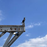 田子の浦港 漁協食堂 - 黄昏てますなw