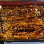 鯉清 - おおおお