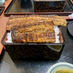 うなぎ割烹 八つ瀬 - うな重タレかけ　大盛