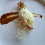 サーラ アマービレ - 今日のイチオシ