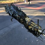 氷川だんご屋 - のり