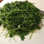 心龍 - 心龍 豆苗 fromグリーンロール