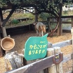 煉瓦堂朱とんぼ　いろり小屋 - かむことがあるそうです（笑）
