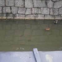 創作中華 一之船入 - 