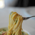 VOLPE - 