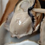 カキテラス波音 - 