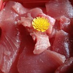 魚の山金 - 切り身はもちろん赤身メインですけど、多少脂あるんじゃない？な赤身も混ざっていてなかなかお値打ちな丼。ただ、大食いな方には２個あっても足りないかもなあ....