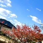 農菓みきや - 紅葉❤︎