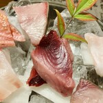 しんのすけ - わらさ、ヤイトカツオ