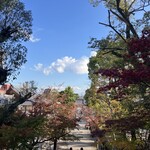 ピアッコリーナ・サイ - 