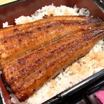 鰻の成瀬 - 料理写真:並鰻重