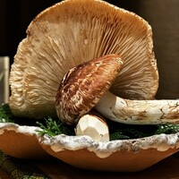 御料理 まつ山 - 