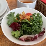 バル デ エスパーニャ ムイ - サラダ