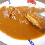 日乃出食堂 - サックリ揚がったカツ