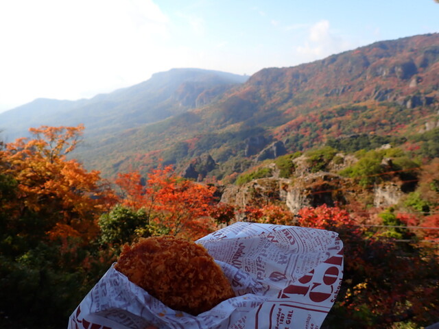 寒霞渓山頂駅 売店 （カンカケイサンチョウエキバイテン） - 小豆島町