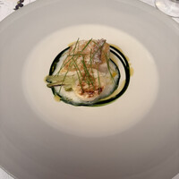 マダム・トキ - 