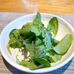 330075933 - サラダ　和風ドレッシング