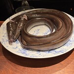 蒼 - 神経〆の鱧