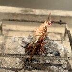 おもてなし いろり寿し - 炉端　海老