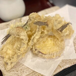 更科 斉とう - ふわトロなハゼ天、1尾分けてもらいました♪