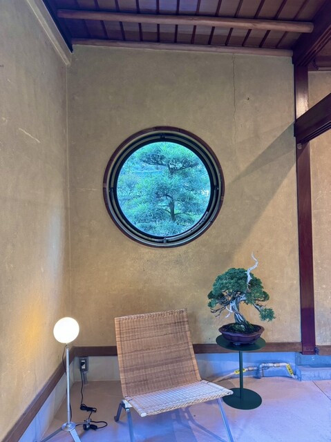 Veritas coffee photo 4