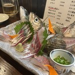 みなみ丸 合歓 - 