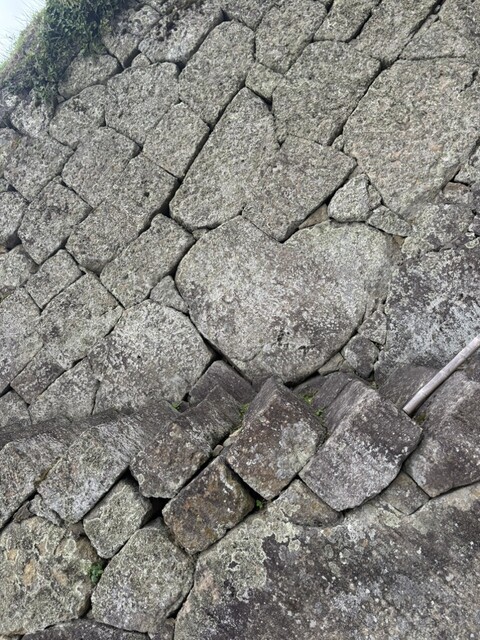 お秀茶屋（おひでちゃや） - 会津若松（郷土料理）の写真