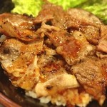 Yakinikudontadon - カルビ丼