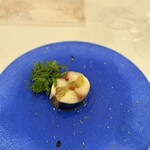 メゾン フジヤ ハコダテ - 