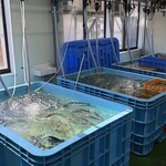 漁師直営牡蠣小屋 with 小さな釣り堀 - 