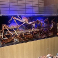 湘南沖地蟹専門店ふじ月 - 