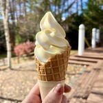 開田高原アイスクリーム工房 - ミックス ワッフルコーン