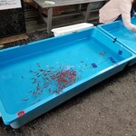 きんぎょcafe 柳楽屋・陽だまり - 