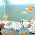 きんぎょcafe 柳楽屋・陽だまり - 