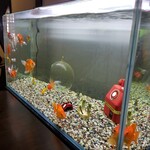 きんぎょcafe 柳楽屋・陽だまり - 