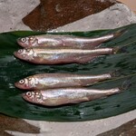 明寂 - ⑦プレゼン