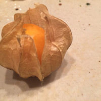 西麻布 拓 - 鬼灯
