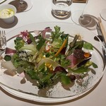 レフェルヴェソンス - 