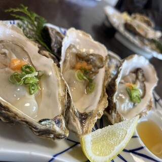 いけすてら崎_1