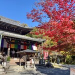 藤菜美 - 本堂前の紅葉