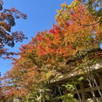 藤菜美 - 紅葉は始まったところ