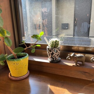 キラナ スパイス_0