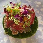 naturam kazuya sugiura - 