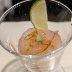 北新地 寿司馬光 - 