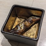 北新地 寿司馬光 - 