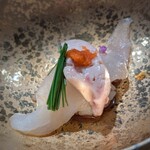 北新地 寿司馬光 - 