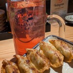 炭火焼鳥と一口餃子 TORA鶏YA - 謎サワー＆博多ひとくち餃子