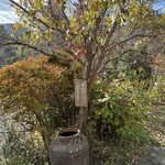 そば切り 蔦屋 - 